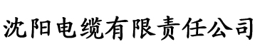 午夜福利影院私人爽电缆厂logo